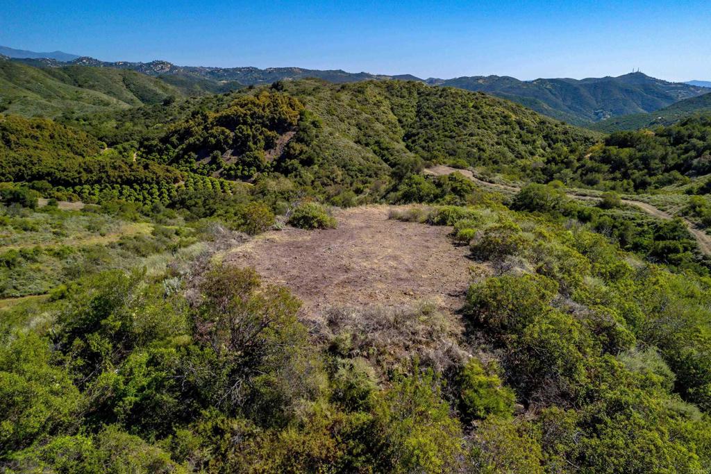 11 Calle Cresta Road Temecula, CA 92590 - Photo 3 of 16 a view of a lush green forest with mountains in the background