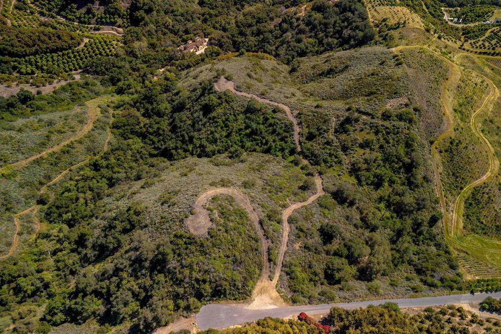 11 Calle Cresta Road Temecula, CA 92590 - Photo 4 of 16 a view of a dry yard with trees