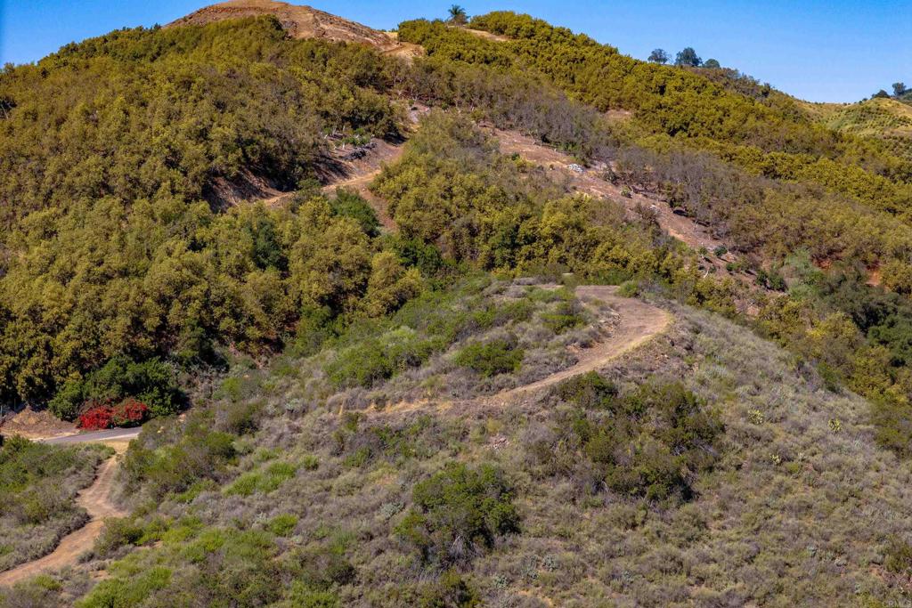 11 Calle Cresta Road Temecula, CA 92590 - Photo 7 of 16 a view of a large tree