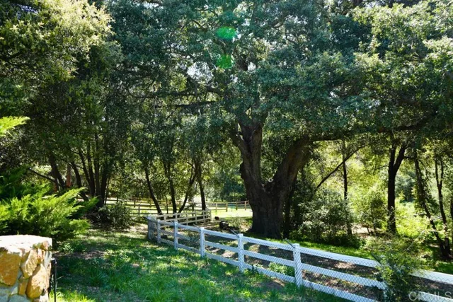 a view of a field with grass and a trees