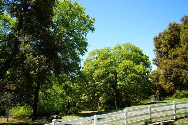a view of a yard with plants and trees