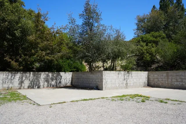a view of a garden with plants