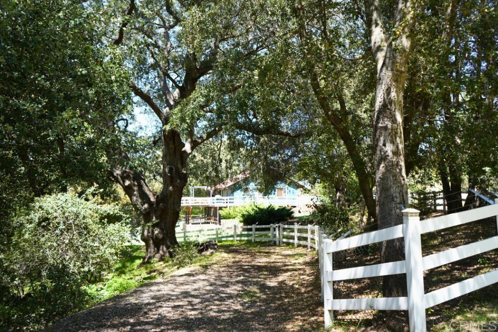 7192 Sandy Creek Road Julian, CA 92036 - Photo 48 of 64 a view of a yard with plants and trees