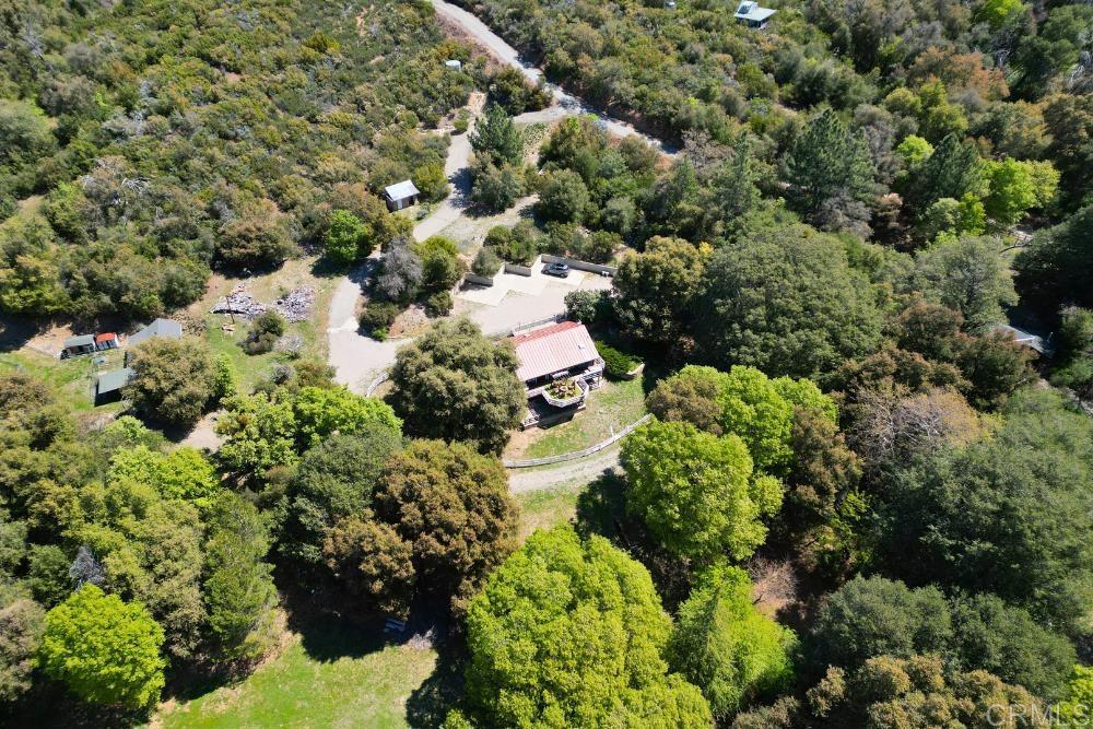 7192 Sandy Creek Road Julian, CA 92036 - Photo 55 of 64 a view of a garden with plants