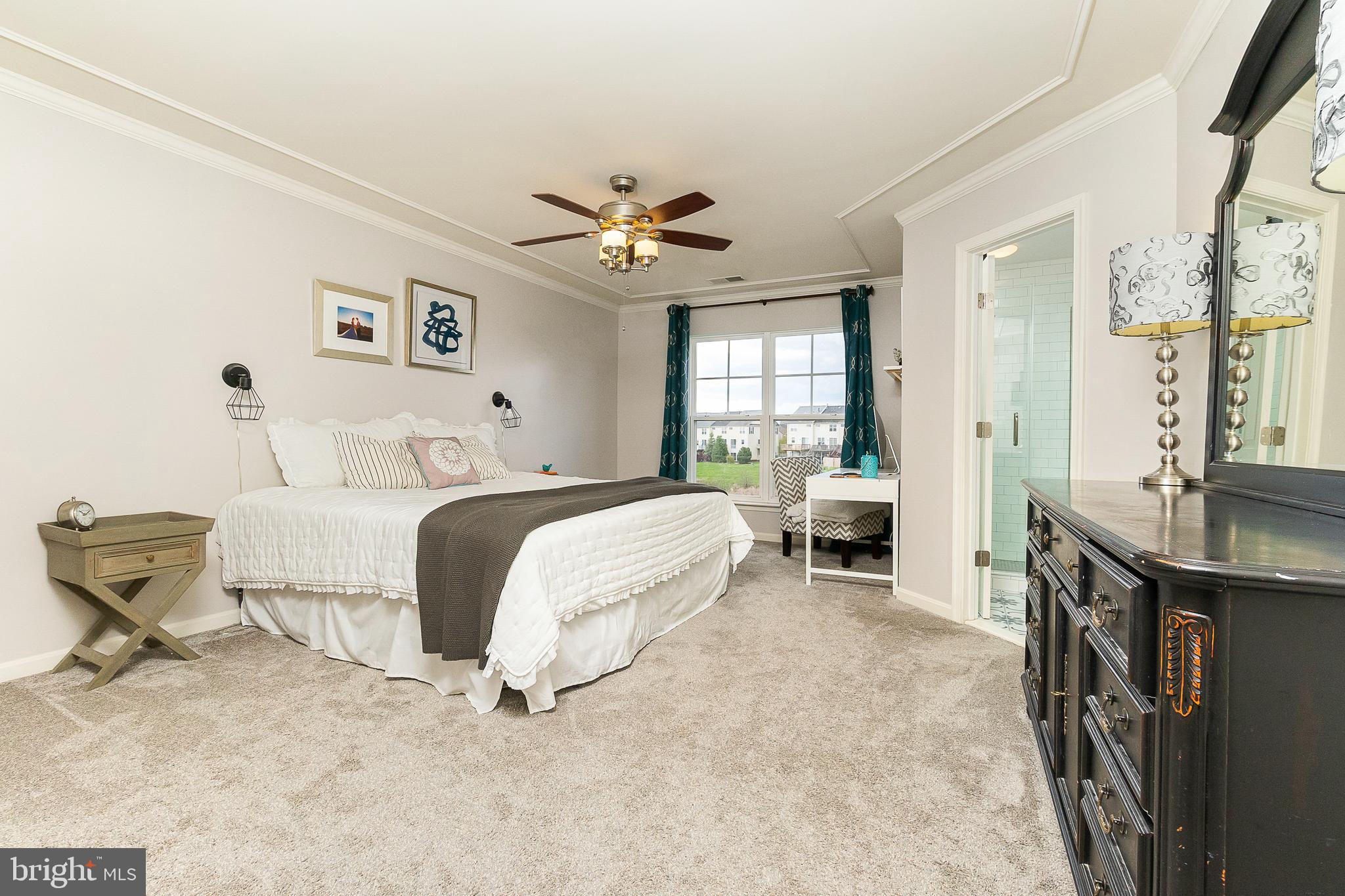 9023 Ribbon Falls Loop Bristow, VA 20136 - Photo 14 of 42 Master Bedroom