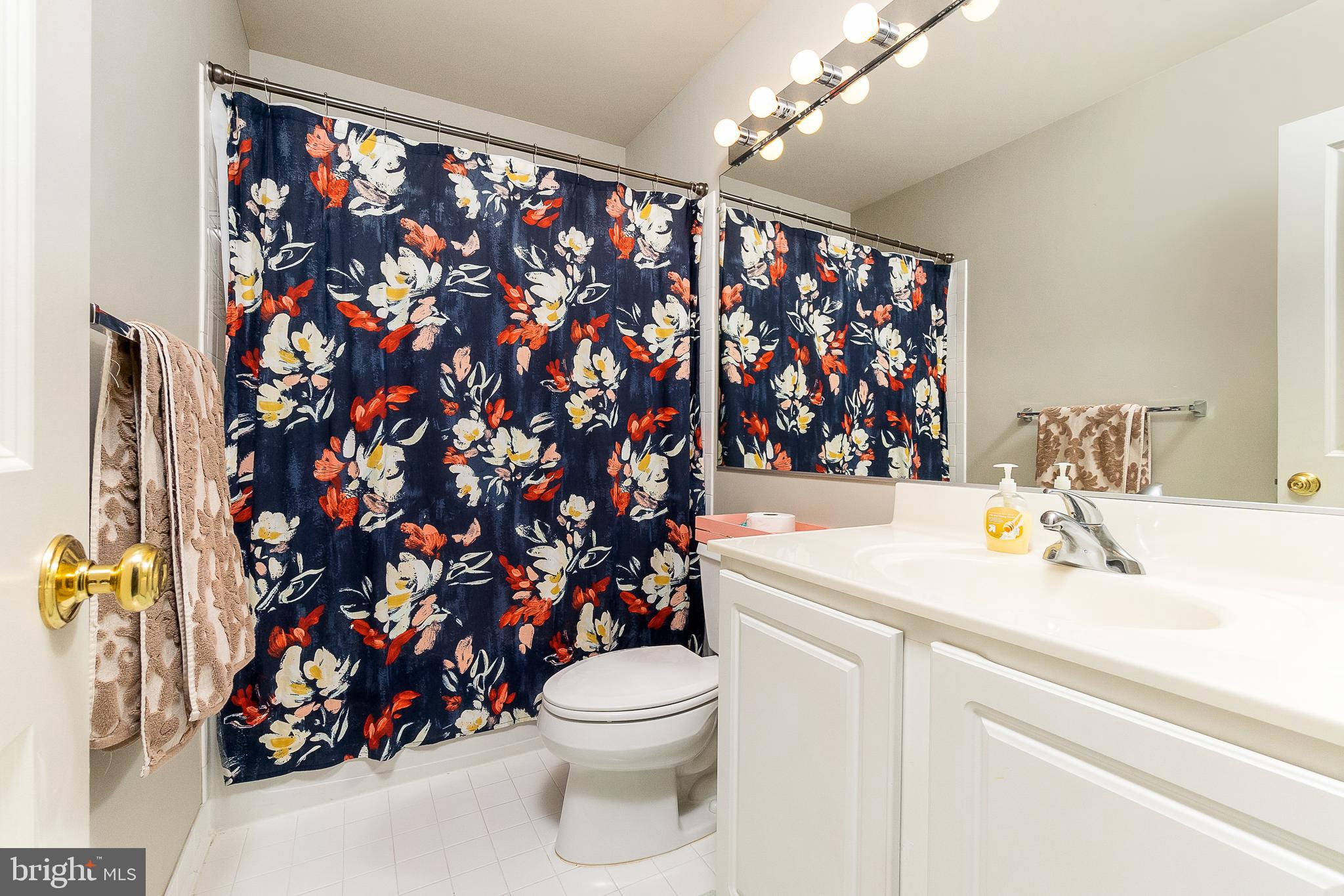 9023 Ribbon Falls Loop Bristow, VA 20136 - Photo 23 of 42 Upper Hall Bath