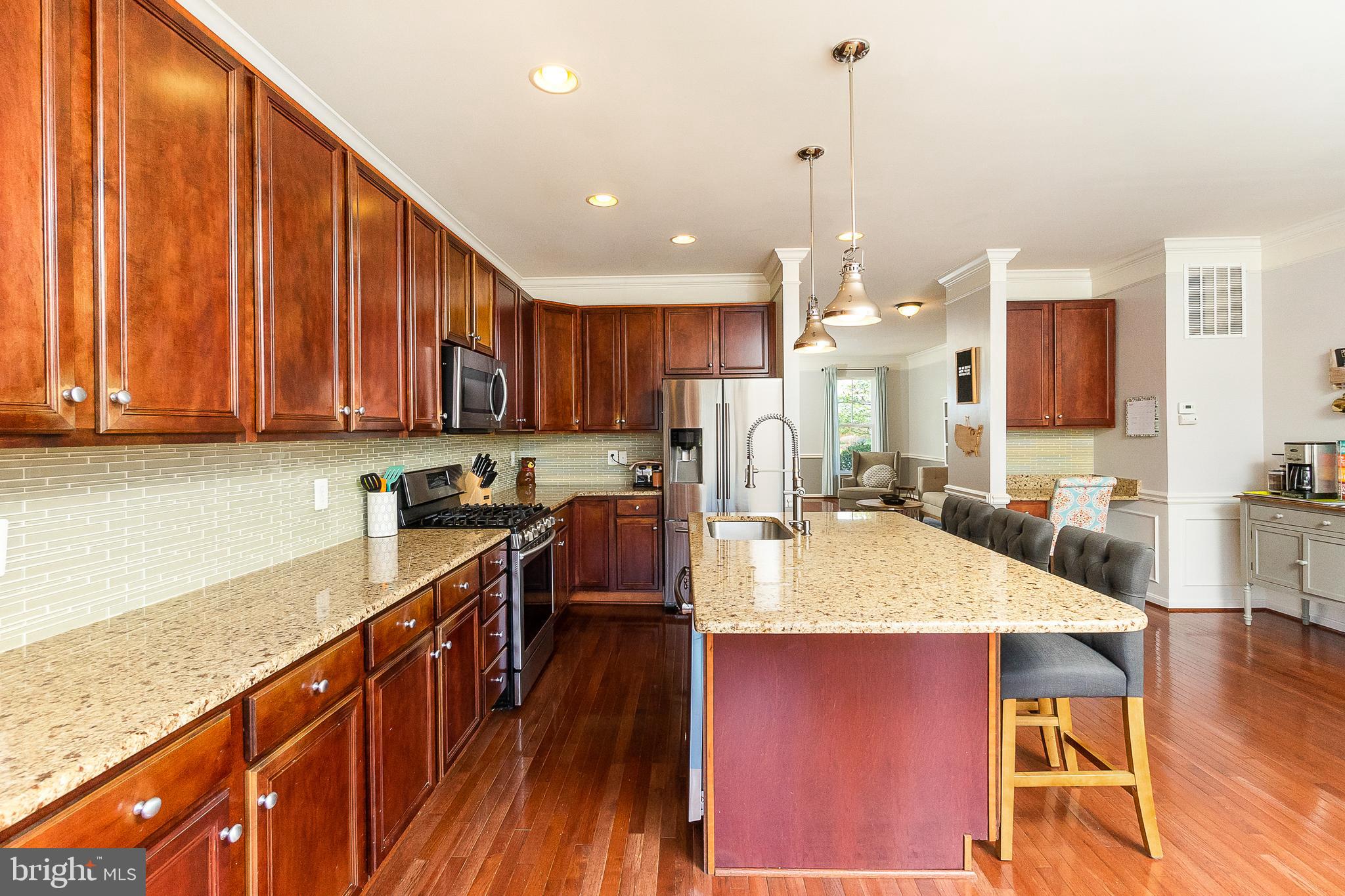 9023 Ribbon Falls Loop Bristow, VA 20136 - Photo 8 of 42 Upgraded Kitchen