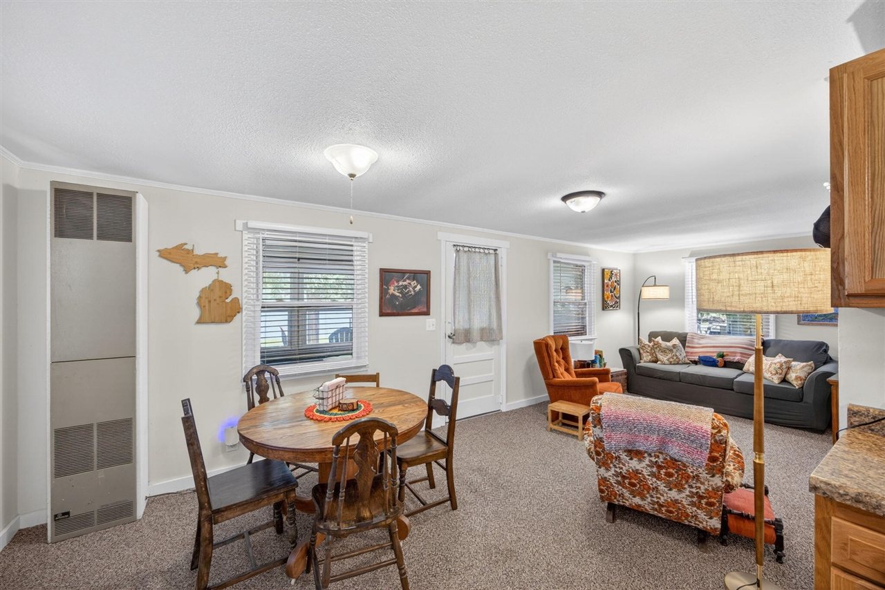 9267 Lake Drive Reed City, MI 49677 - Photo 12 of 43