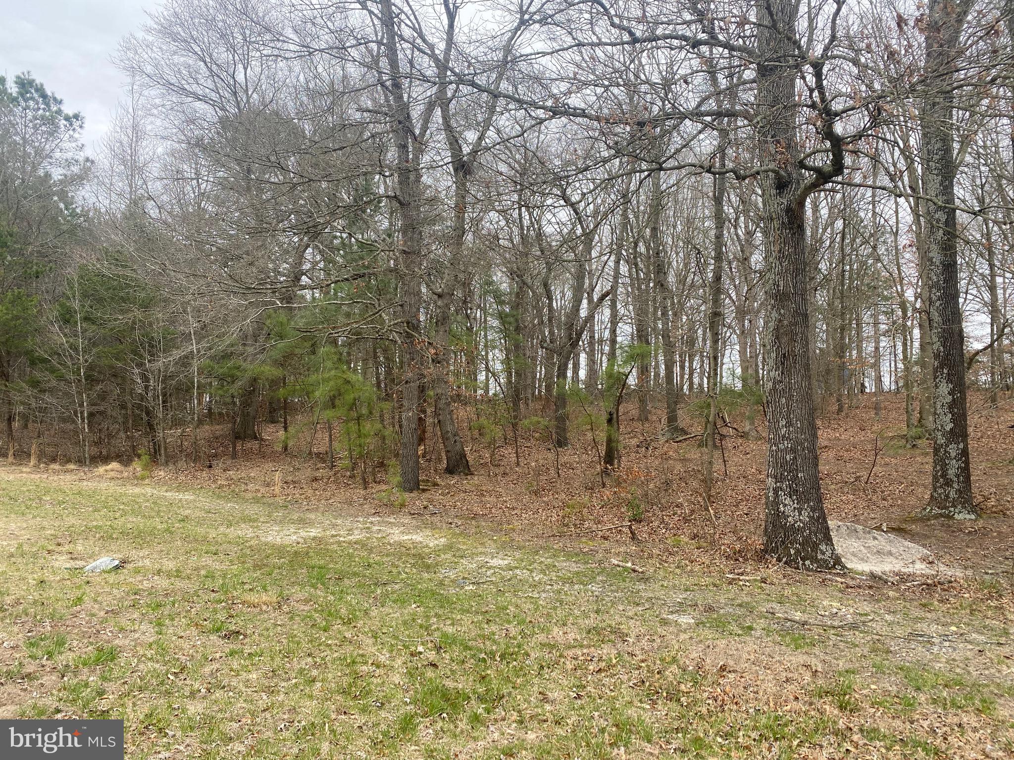 Lot 1 Rifle Range Road Bridgeville, DE 19933 - Photo 3 of 4 Gallery Image 3