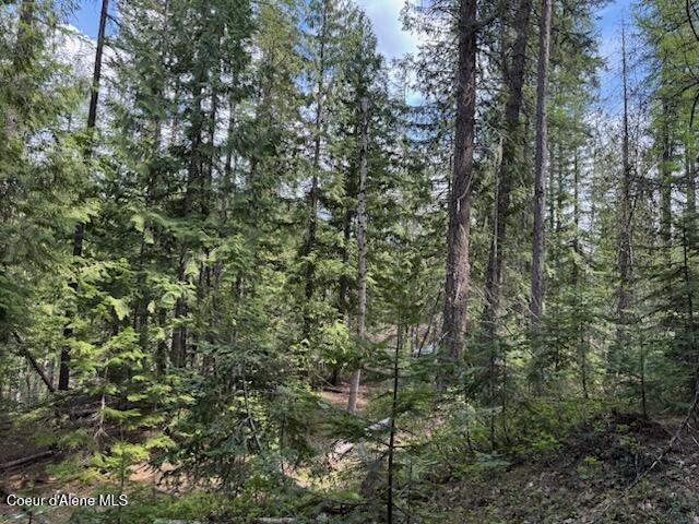 Nna Raven Ridge Road Sandpoint, ID 83864 - Photo 6 of 20 .