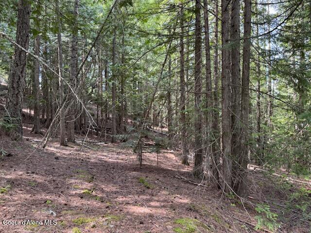 Nna Raven Ridge Road Sandpoint, ID 83864 - Photo 8 of 20 .