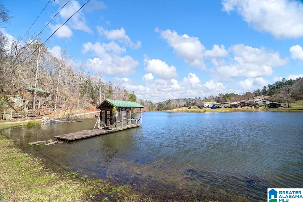 39080 Highway 231 Steele, AL 35987 - Photo 34 of 37