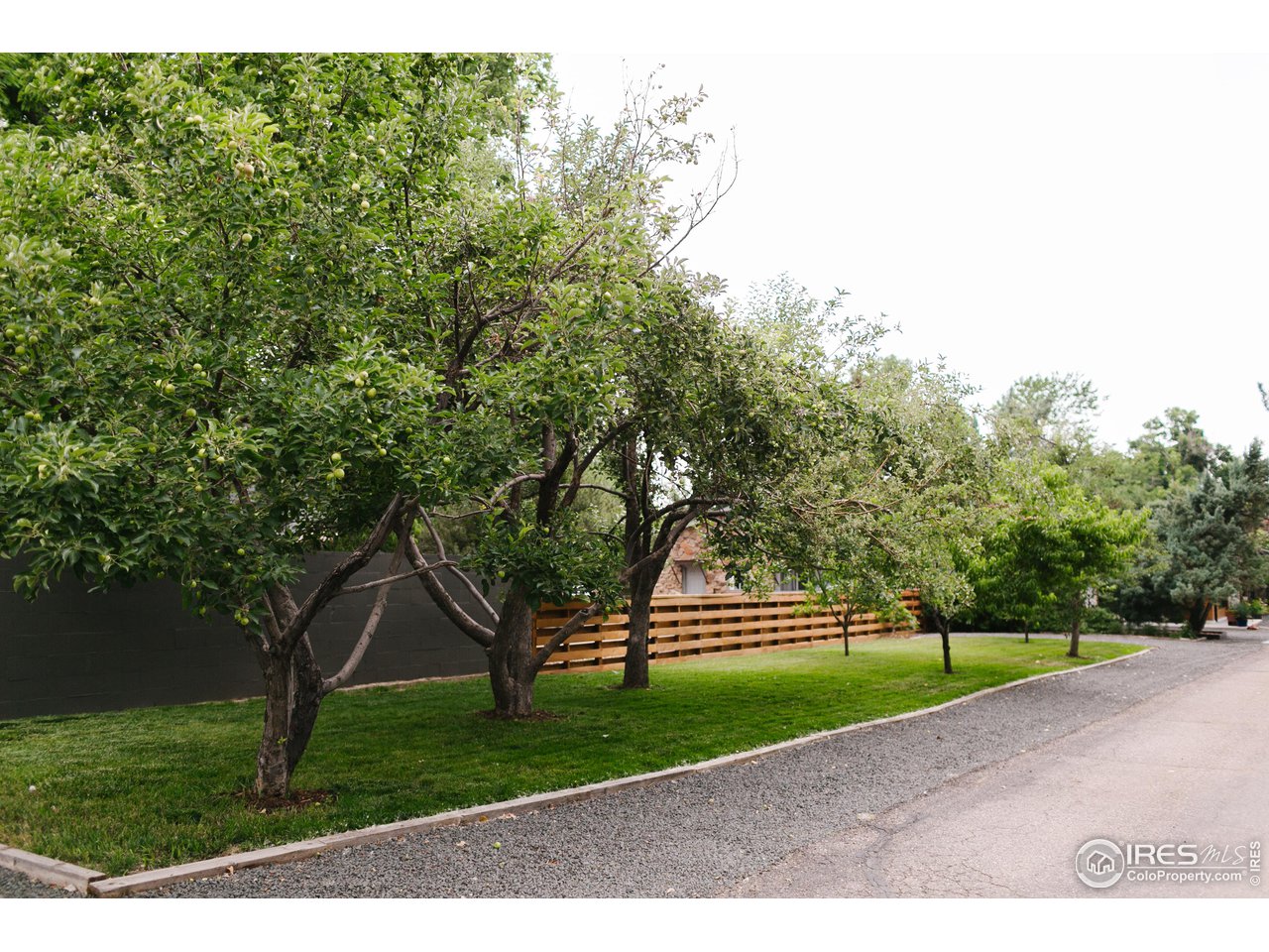 2600 West Prospect Road Fort Collins, CO 80526 - Photo 39 of 40 a view of a park with large trees