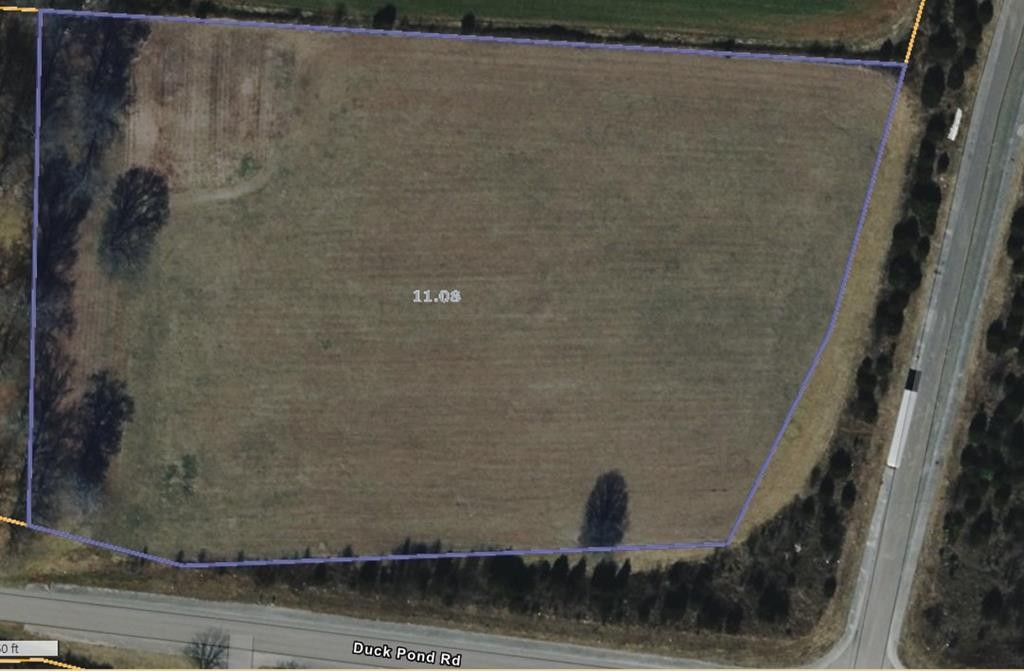 0 Duck Pond Road Sparta, TN 38583 - Photo 4 of 4