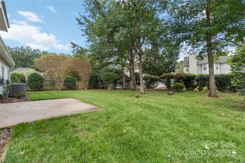 a view of a park with large trees