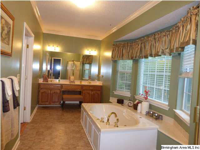 149 Chestnut Drive Alabaster, AL 35007 - Photo 14 of 32