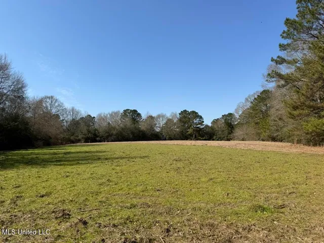 $151,700 | Cheramie Road, Sandy Hook, MS 39478
