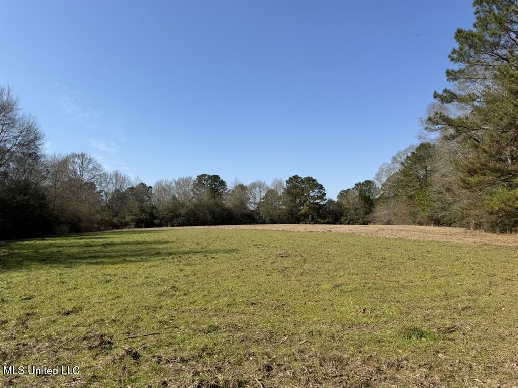 Cheramie Road Sandy Hook, MS 39478 - Photo 11 of 16 B45C48F0-D459-4075-8666-76AA53A4843E_1_1
