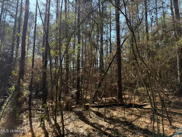 $151,700 | Cheramie Road, Sandy Hook, MS 39478