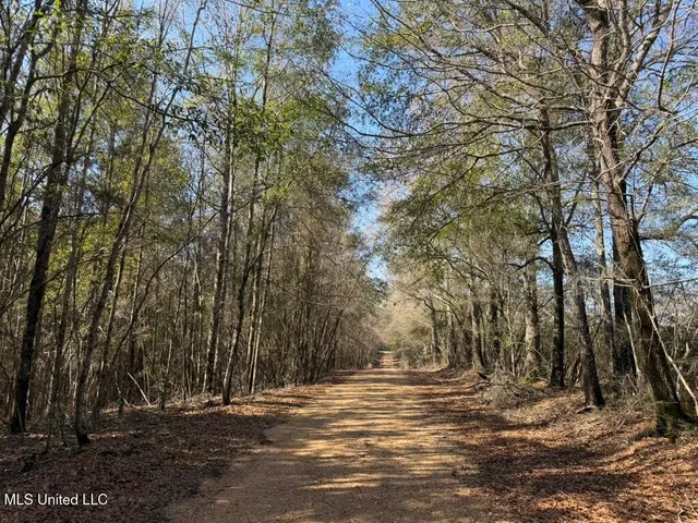 $151,700 | Cheramie Road, Sandy Hook, MS 39478