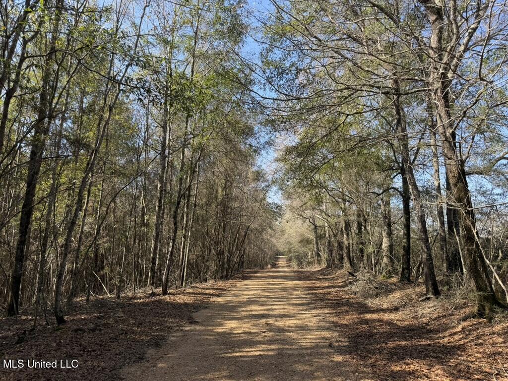 Cheramie Road Sandy Hook, MS 39478 - Photo 14 of 16 E1035EBE-9252-4D5C-A2A8-19417C3EB229_1_1