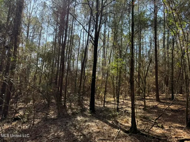 $151,700 | Cheramie Road, Sandy Hook, MS 39478