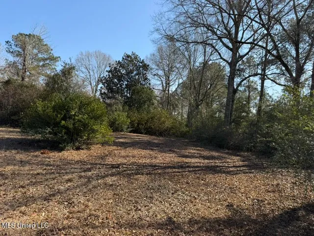 $151,700 | Cheramie Road, Sandy Hook, MS 39478