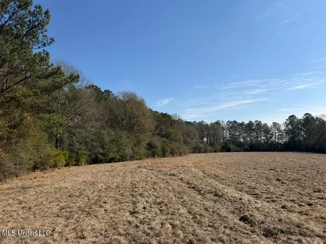 $151,700 | Cheramie Road, Sandy Hook, MS 39478