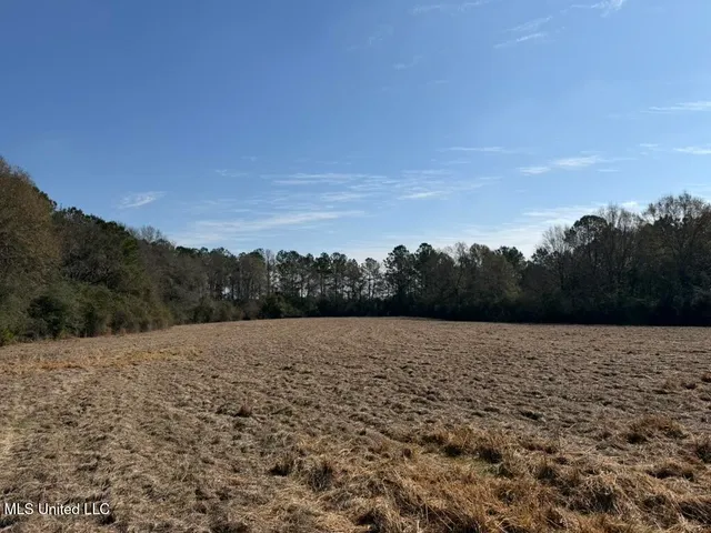 $151,700 | Cheramie Road, Sandy Hook, MS 39478