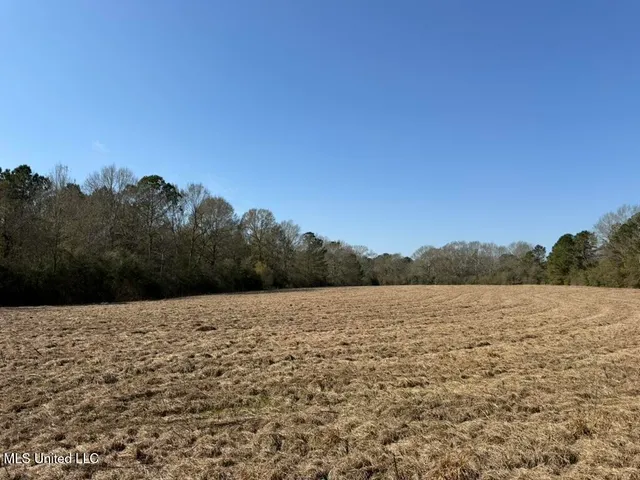 $151,700 | Cheramie Road, Sandy Hook, MS 39478