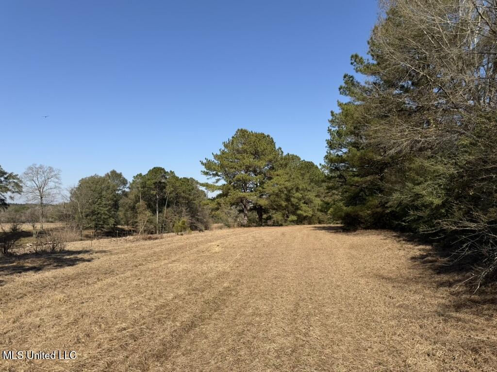 Cheramie Road Sandy Hook, MS 39478 - Photo 9 of 16 C4EB73AE-38D4-46AE-BBB0-800D4AB53391_1_1