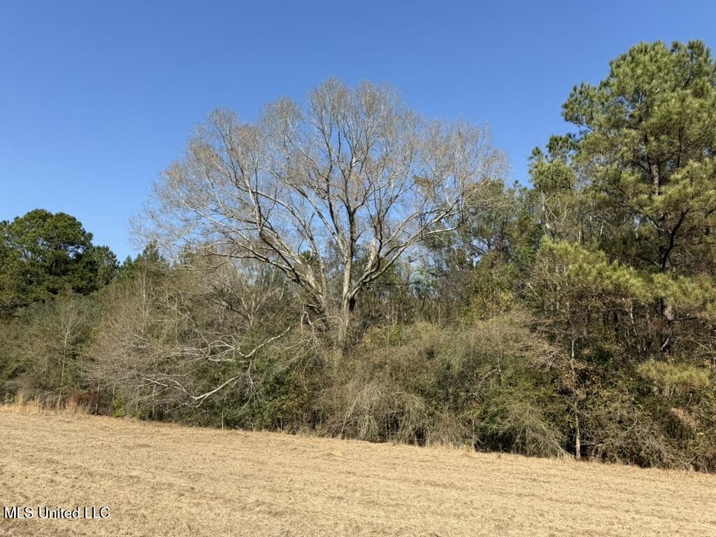 Cheramie Road Sandy Hook, MS 39478 - Photo 10 of 16 52E8D506-2AB8-4841-BEC5-F80E9A310FCA_1_1