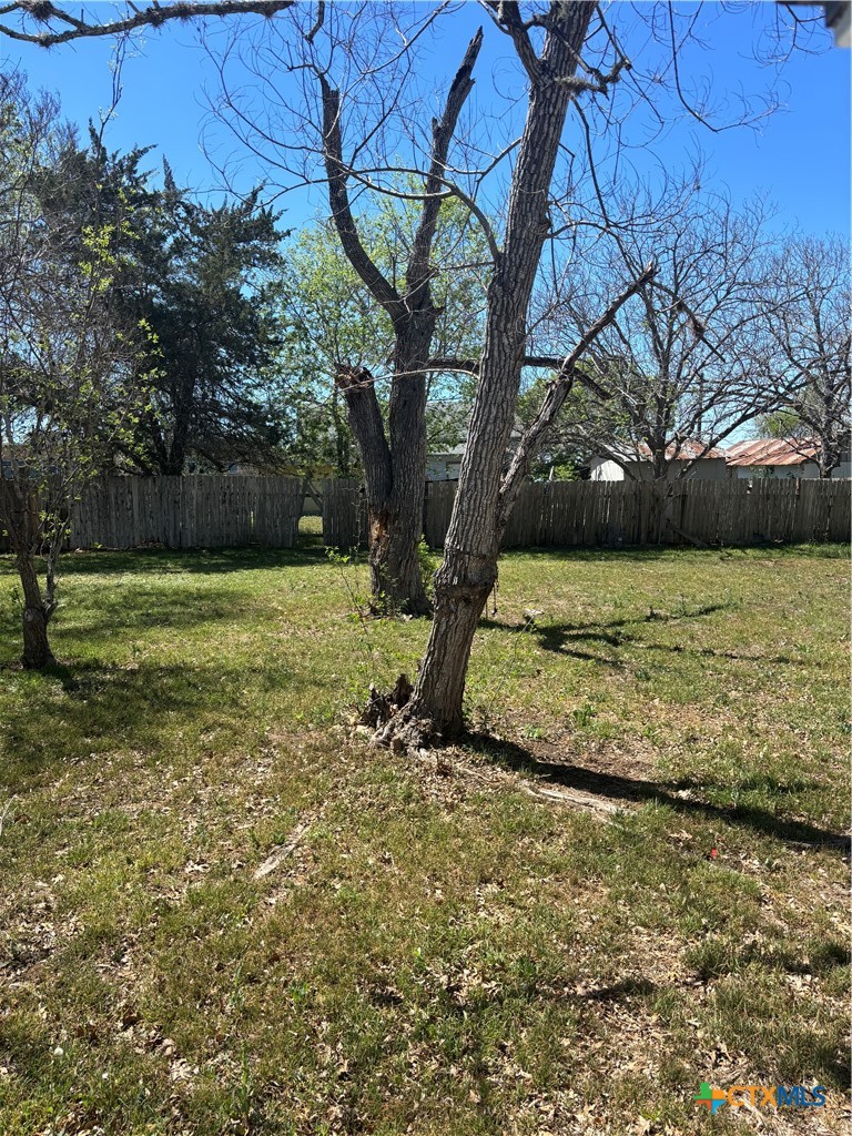 308 Poth Street Yoakum, TX 77995 - Photo 8 of 13 a view of a field with an trees