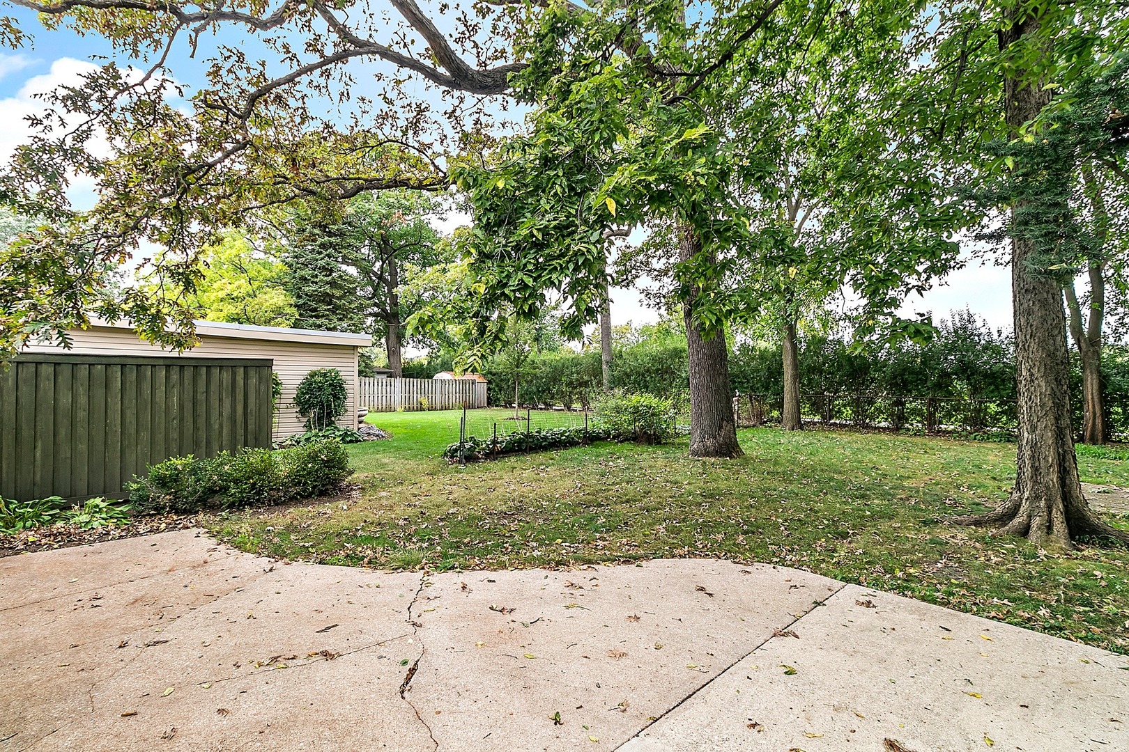 8132 West 26th Street North Riverside, IL 60546 - Photo 15 of 16 a view of a yard with plants and trees