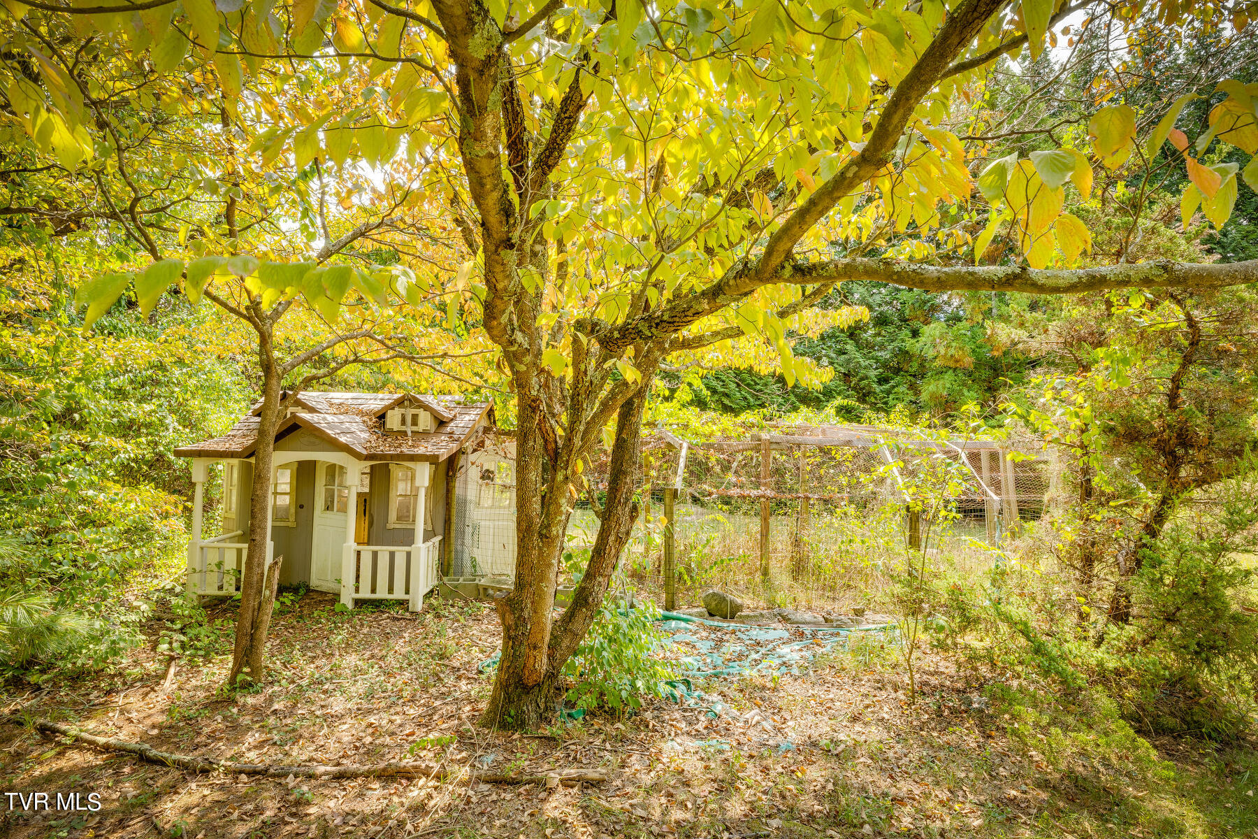 801 Ridgecrest Road Johnson City, TN 37604 - Photo 65 of 73 Hidden Chicken Coop