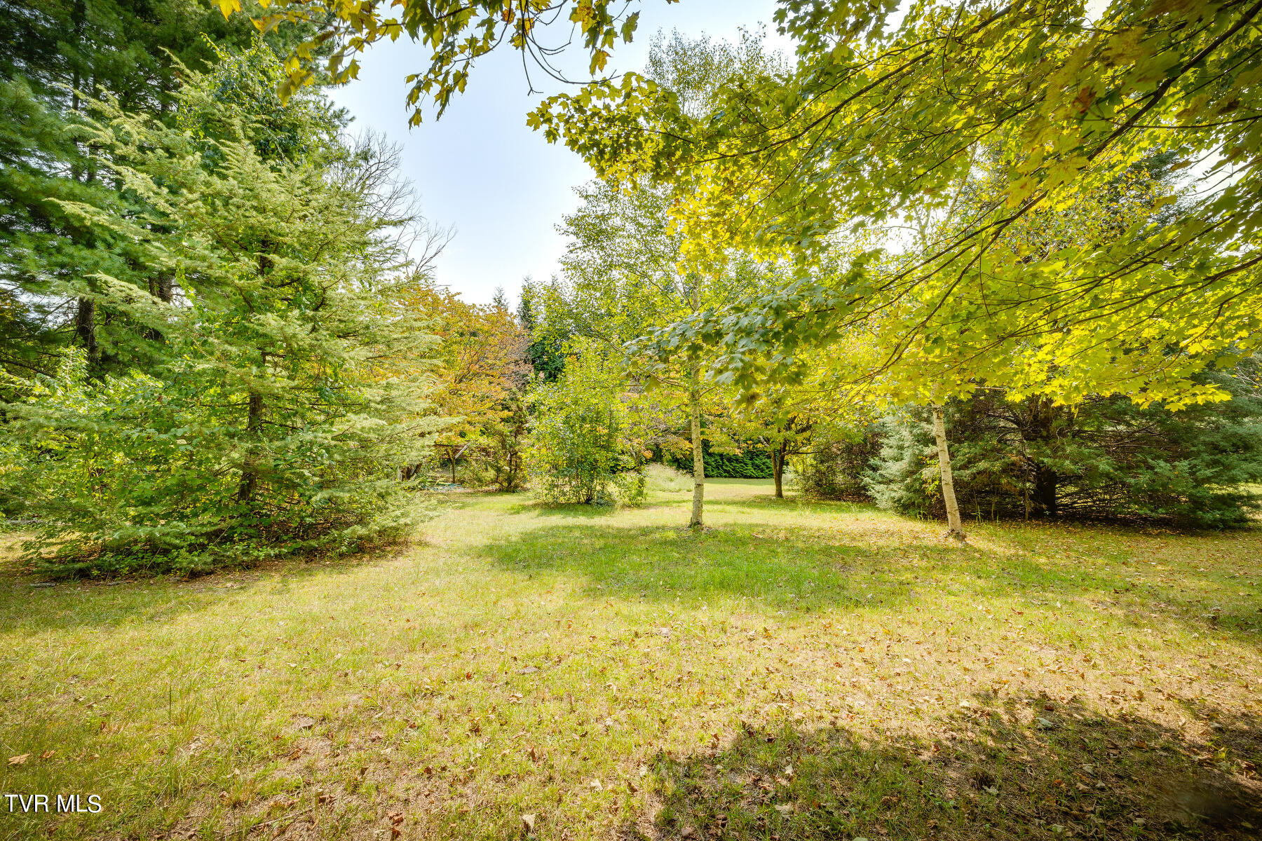 801 Ridgecrest Road Johnson City, TN 37604 - Photo 66 of 73 Stunning Landscaping