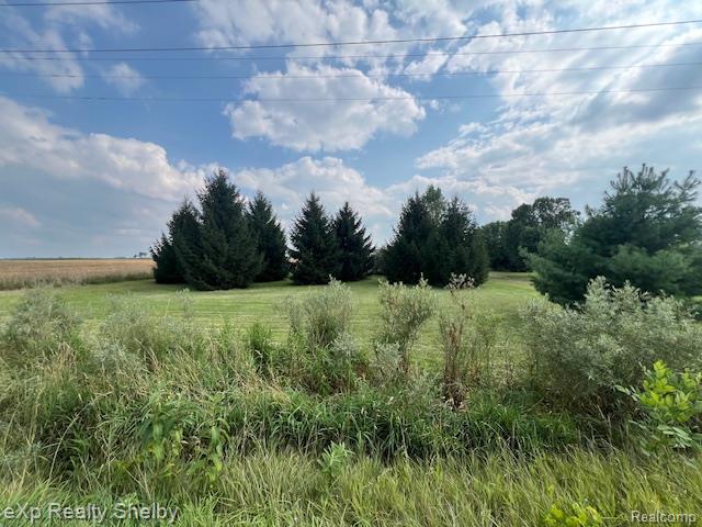 8652 Peck Road Marlette, MI 48453 - Photo 22 of 33