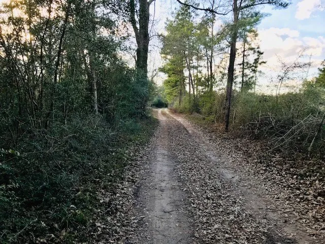 $35,000 | 0 10 Ac Off Of Fm 1309, Lovelady, TX 75851