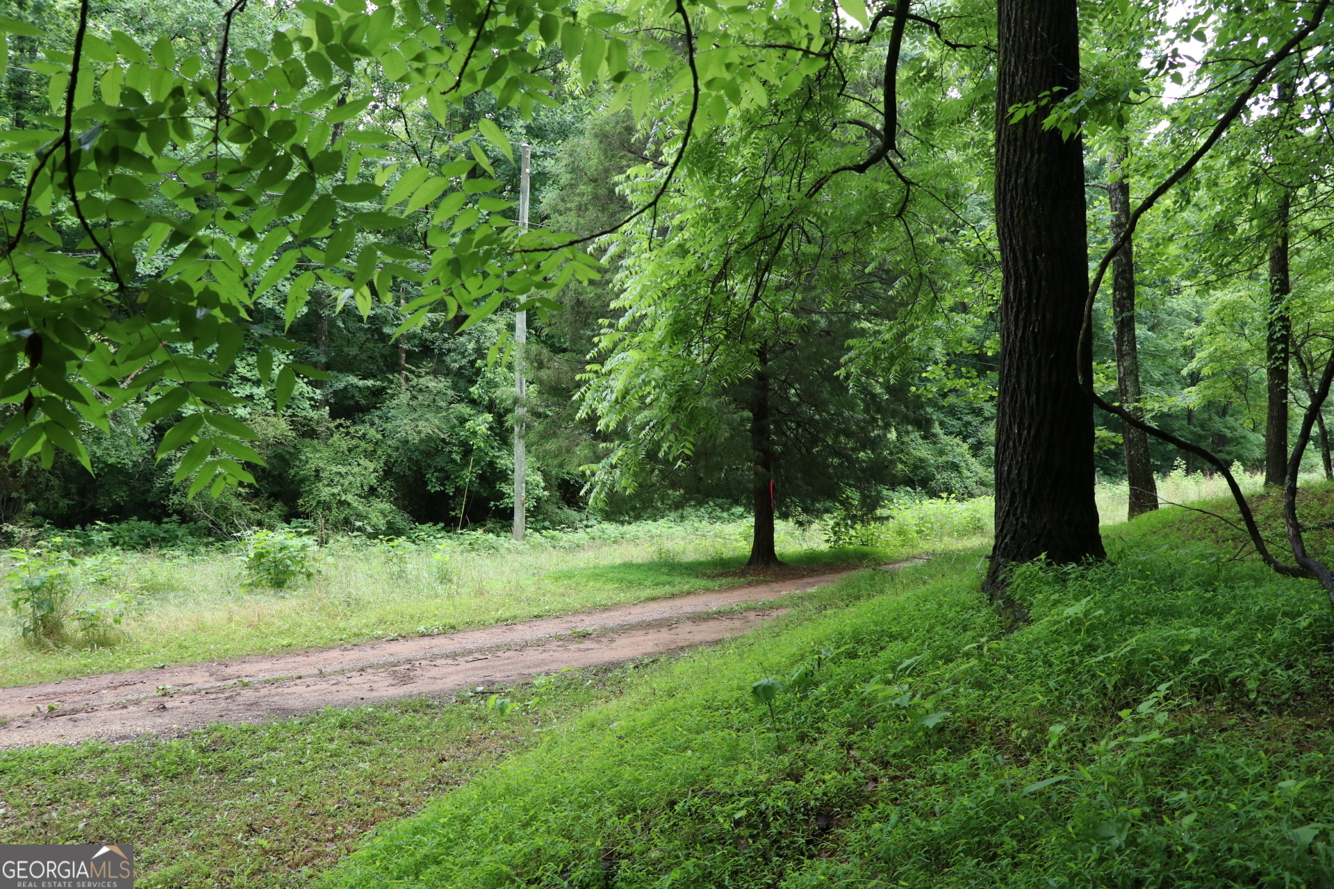 833 Neal Gap Road Summerville, GA 30747 - Photo 52 of 86