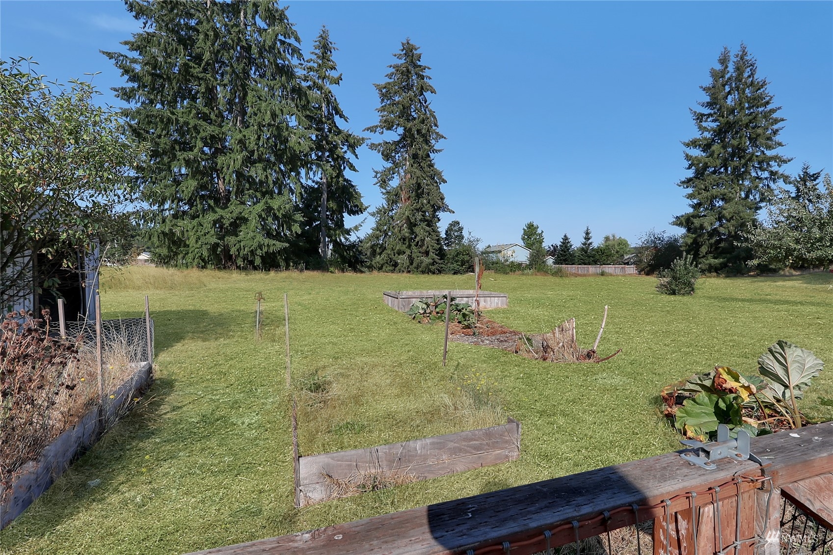 10725 Mill Road Southeast Yelm, WA 98597 - Photo 10 of 36 Gallery Image 10