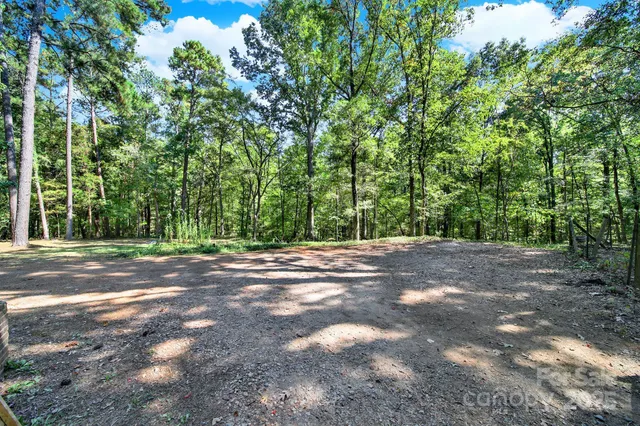 a view of a tree with a tree