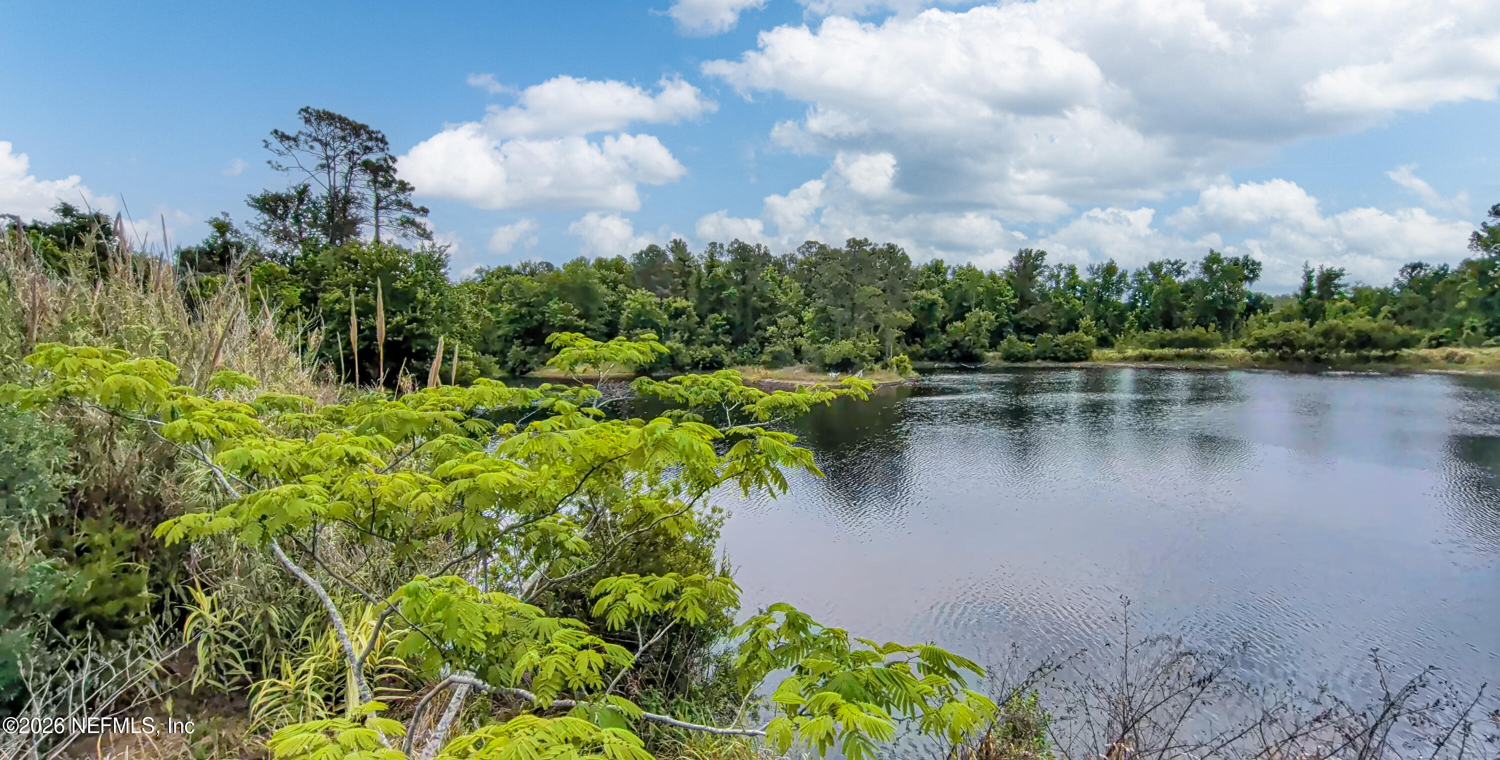 408 Chaffee Road North Jacksonville, FL 32220 - Photo 4 of 8 a view of a lake with a yard