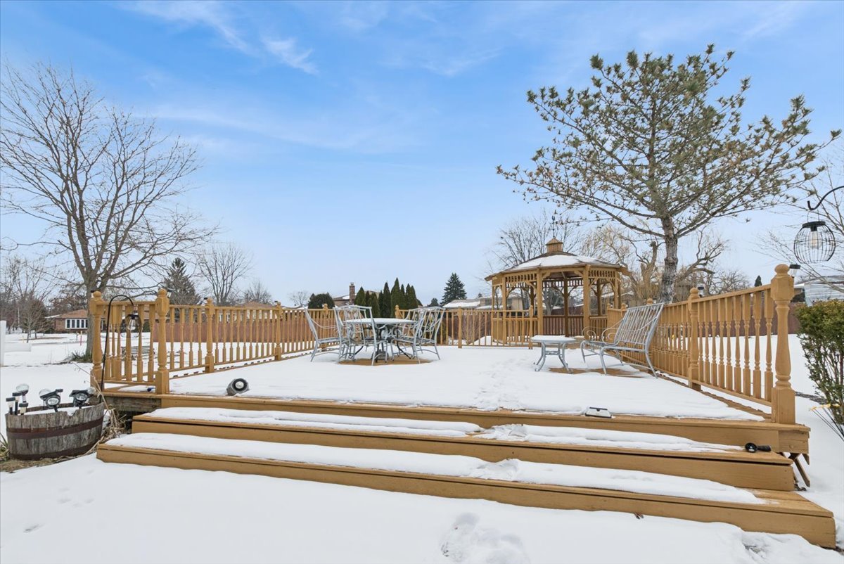 3505 Lyle Lane Crete, IL 60417 - Photo 18 of 19