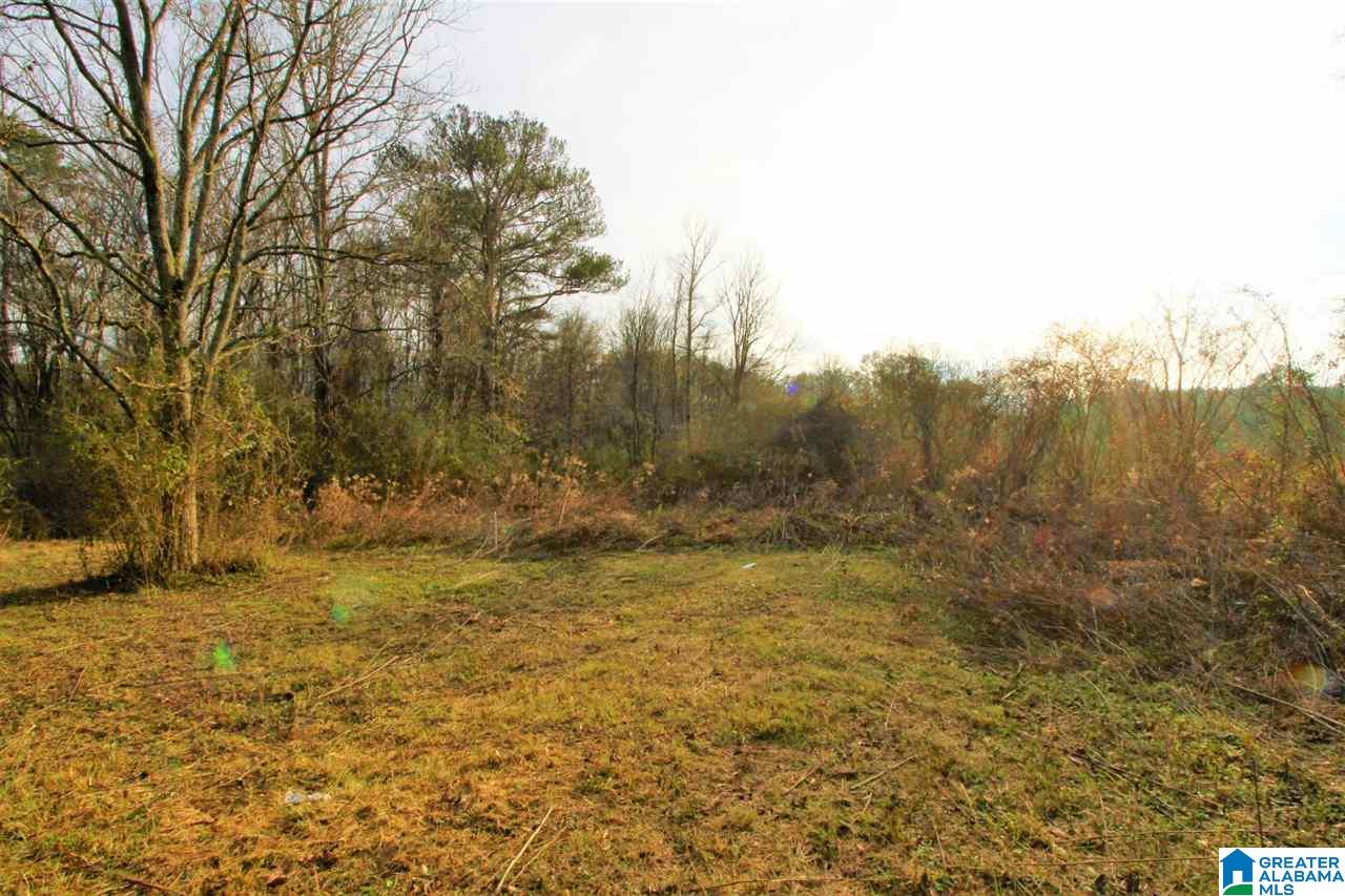 3391 Mudd Street Lincoln, AL 35096 - Photo 28 of 31