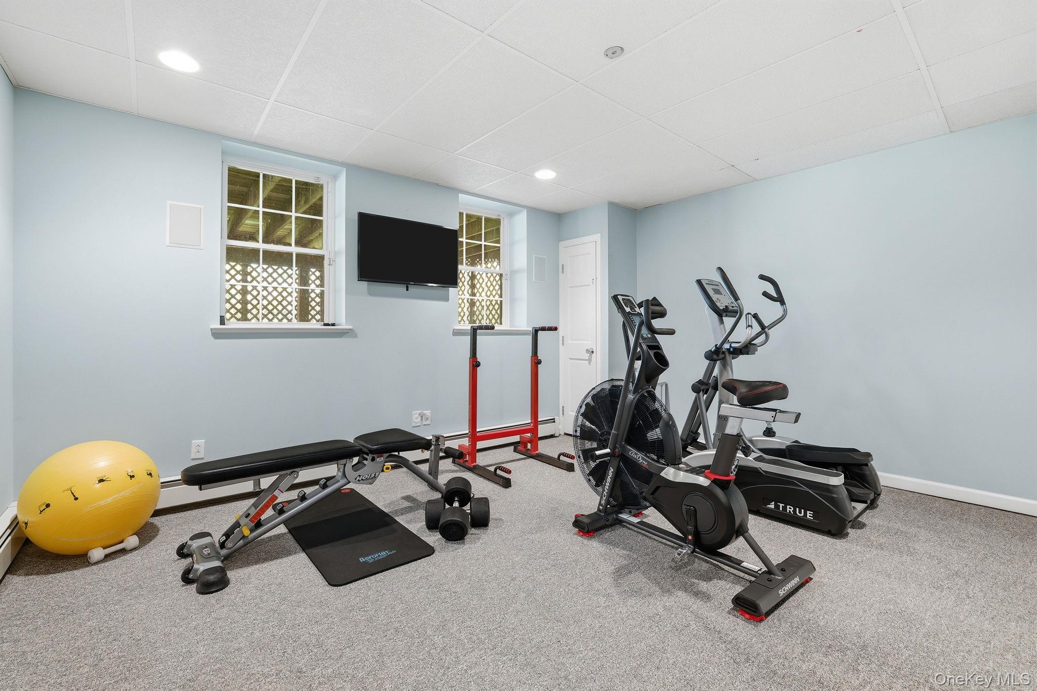 177 Quinn Road Briarcliff Manor, NY 10510 - Photo 32 of 42 Multi-purpose Room