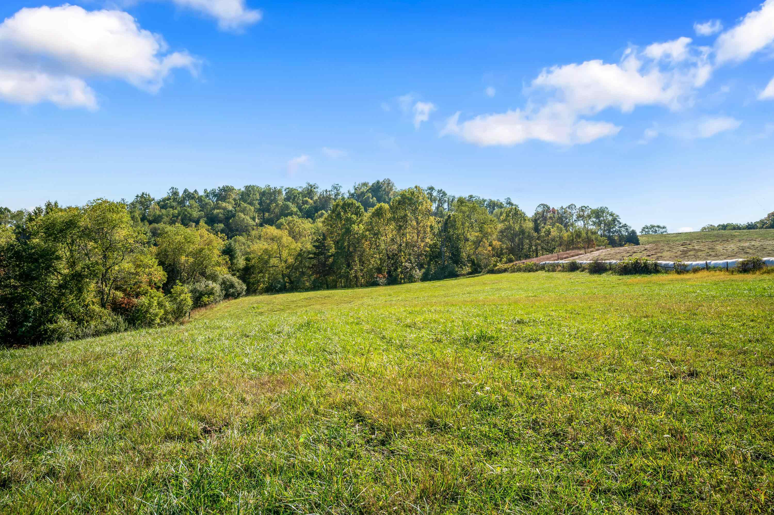 3833 Liberty Hill Road Fries, VA 24330 - Photo 110 of 124 Gallery Image 110