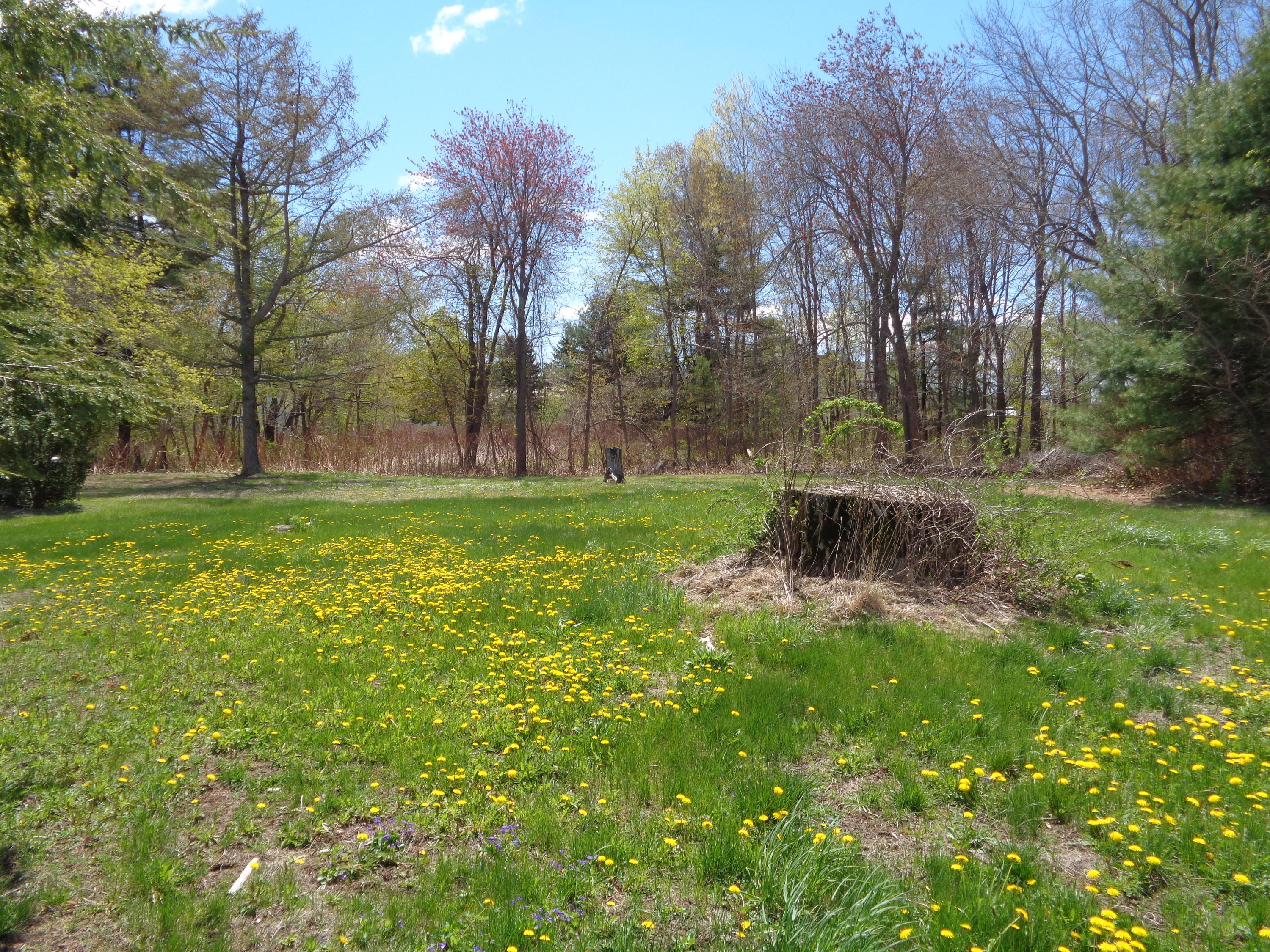 30 Sanford Road Wells, ME 04090 - Photo 10 of 48 DSC01016