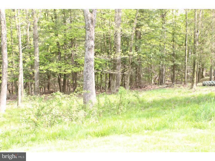 217 Hendricks Road Perkiomenville, PA 18074 - Photo 5 of 11 Gallery Image 5