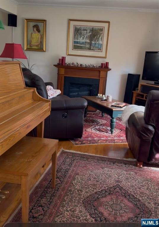 249 Madison Avenue Cresskill, NJ 07626 - Photo 17 of 26 a living room with furniture and a fireplace