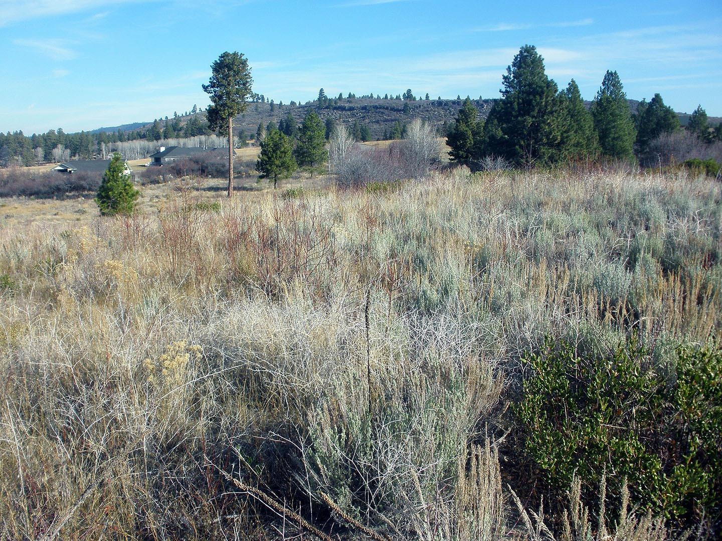 18 Lakeland Road Chiloquin, OR 97624 - Photo 12 of 14 Additional Photo